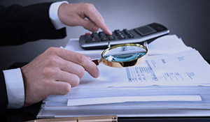 Эколого-правовая оценка хозяйственной деятельности и Экологический аудит